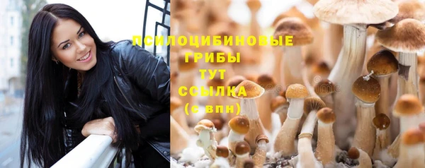 мяу мяу кристалл Баксан