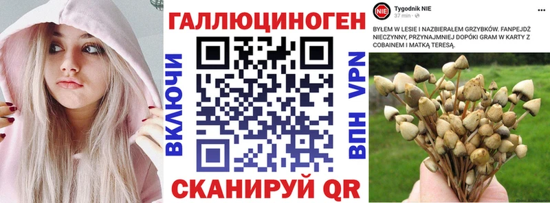 Галлюциногенные грибы прущие грибы  OMG ТОР  Шагонар 